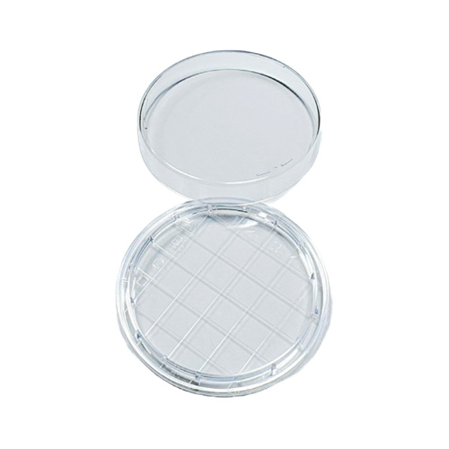 Kontaktplatte, Dome Base, 65x15mm, 3 Vents