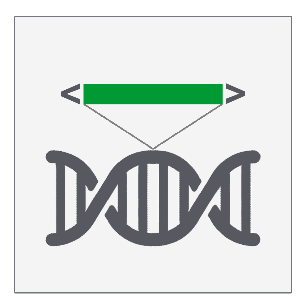 Transposon Mutagenese