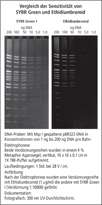 SYBR Green II RNA Farbstoff