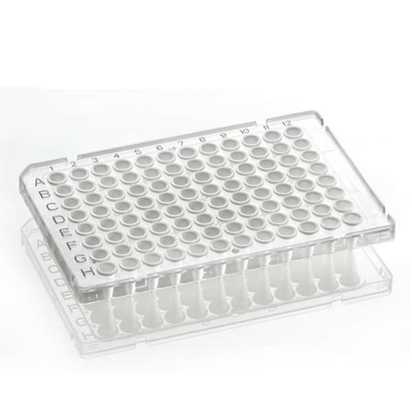 FrameStar 96 PCR Plate, frosted Wells, clear Frame
