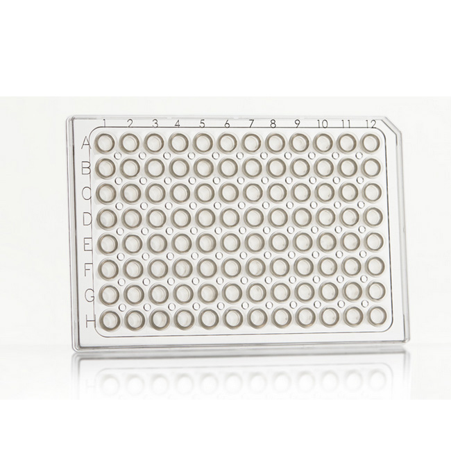 FrameStar 96 PCR Plate, clear Wells, clear Frame