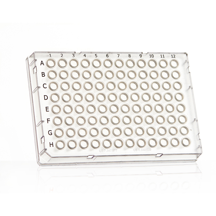 FrameStar 96 PCR Plate, clear Wells, clear Frame