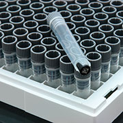 BioLocker 2D 1.1 ml Tube, SBS-Format