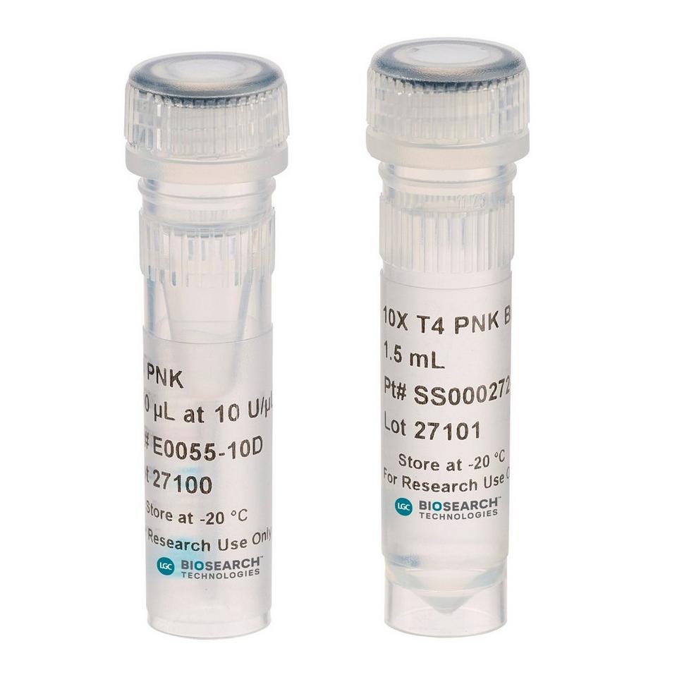 T4 Polynucleotid Kinase kloniert + Puffer, 10 U/µl