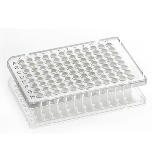 FrameStar 96 PCR Plate, white Wells, clear Frame