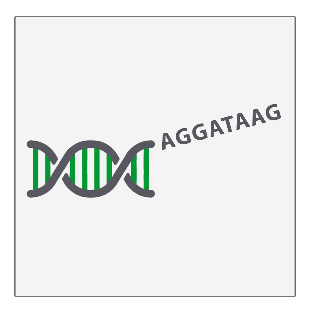 Next-Gen Sequencing