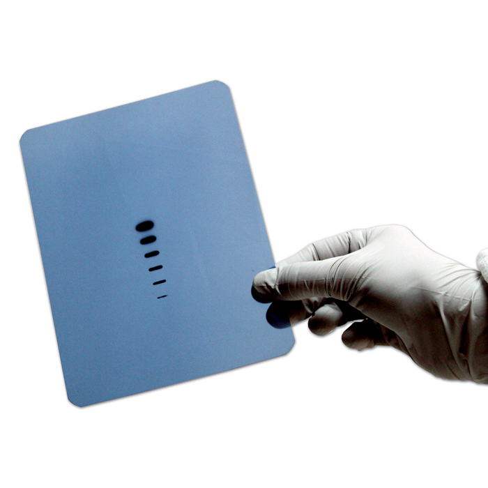 LucentBlue Film zur Detektion von Western Blots