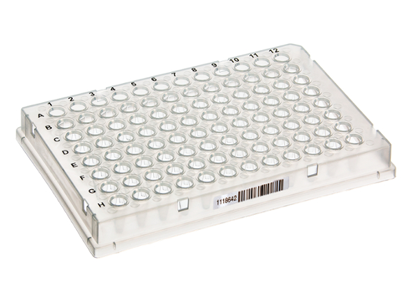 96 Well PCR Platte, farblos, mit Barcode