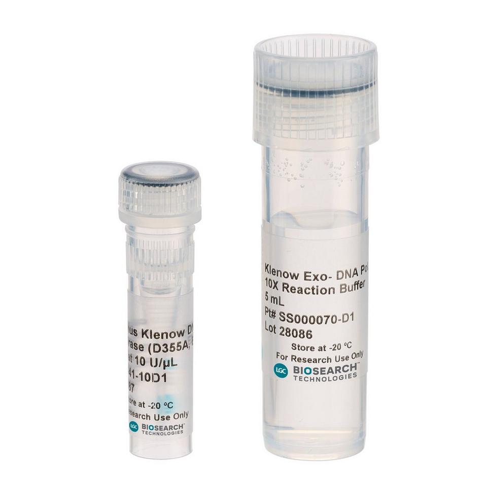 Exo-Minus Klenow DNA Polymerase 10 U/µl