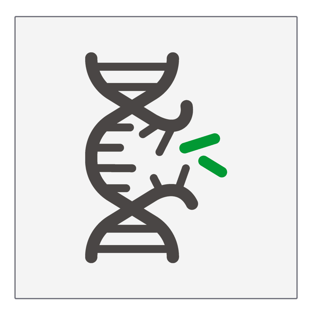 Molekularbiologie