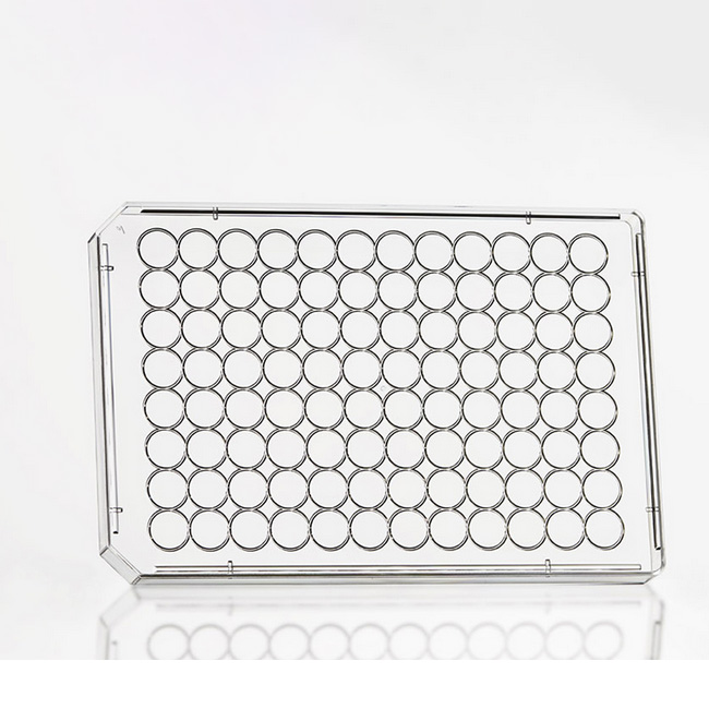 Microplate 96 Lid, clear