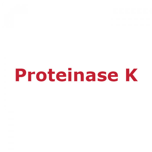 Artikelbild 1 des Artikels Proteinase K, 50 µg/µl