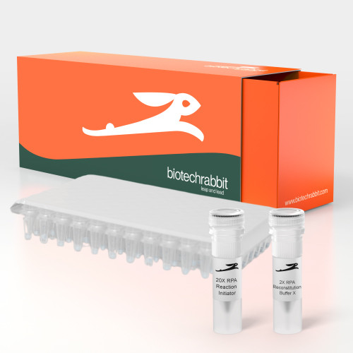 Artikelbild 1 des Artikels 2X RT-RPA Basic Master Mix, lyophilized