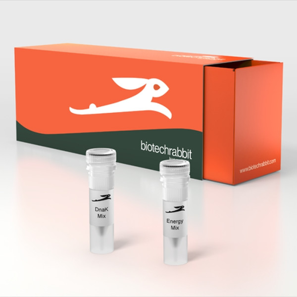 Artikelbild 1 des Artikels RTS DnaK Supplement