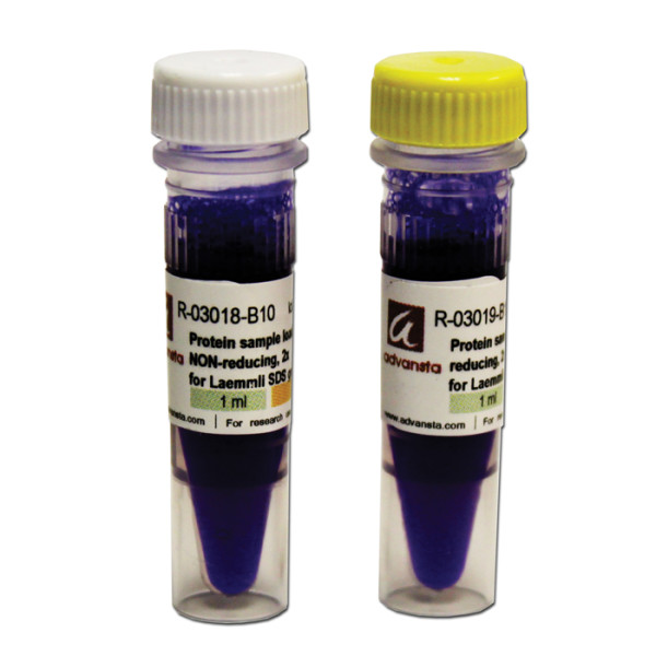 Artikelbild 1 des Artikels Protein Ladepuffer (2x)