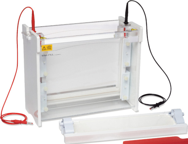 Artikelbild 1 des Artikels EasyPhor PAGE Maxi Plus, vertikale