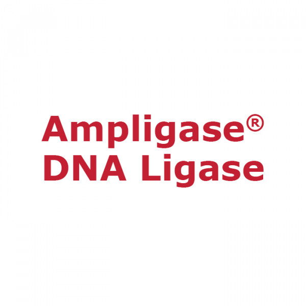 Artikelbild 1 des Artikels Ampligase DNA Ligase, 100 U/µl