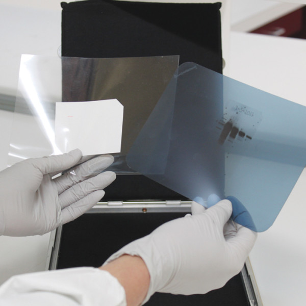 Artikelbild 1 des Artikels Transparente Entwicklertaschen für Western Blots