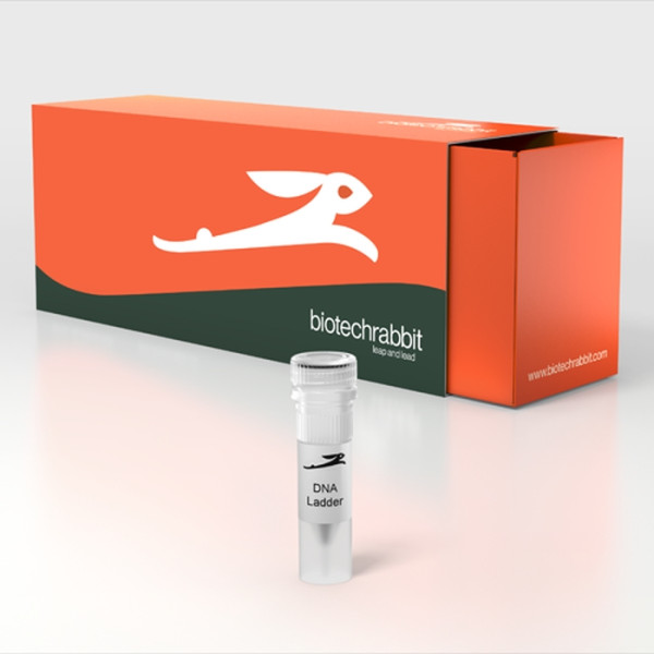 Artikelbild 1 des Artikels DNA Loading Dye, 6×