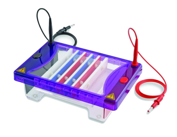 Artikelbild 1 des Artikels EasyPhor Medi Gelelektrophorese Kammer, 15x7 cm