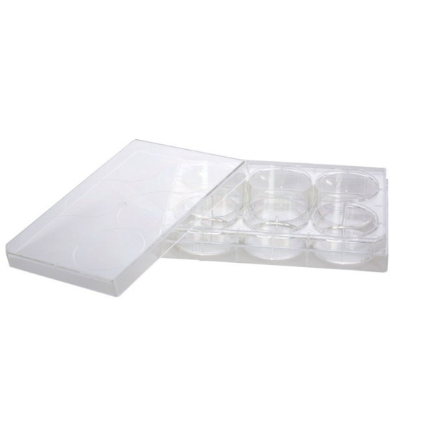 Artikelbild 1 des Artikels 6 Well Zellkulturplatte, TC