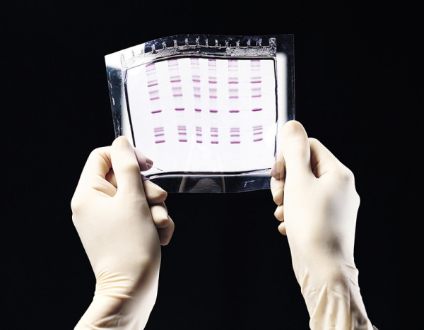 Artikelbild 1 des Artikels GelBond PAG 199 x 264 mm, Stärke 0.2 mm