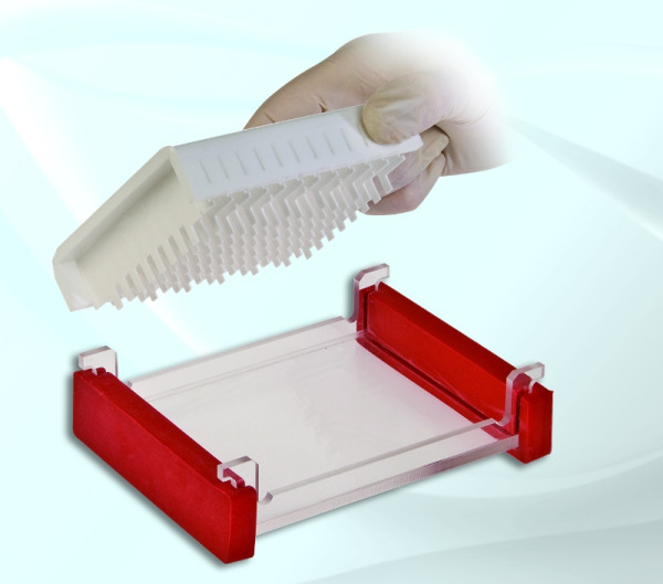 Artikelbild 1 des Artikels EasyPhor Midi96 Kamm-Block 12 x 8