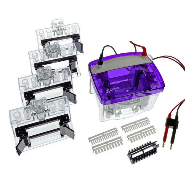 Artikelbild 1 des Artikels proPAGE 4 - Mini-PAGE-System für 4 Gele, 1.5 mm