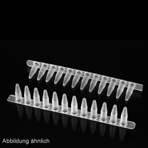 Artikelbild 1 des Artikels PCR TW 12-Tube Strip, 0.2 ml, farblos
