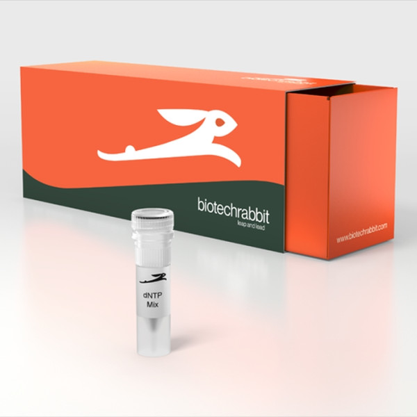 Artikelbild 1 des Artikels dNTP Mix (25 mM each)