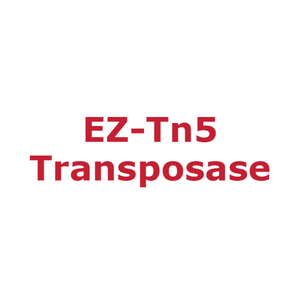 Artikelbild 1 des Artikels EZ-Tn5 Transposase