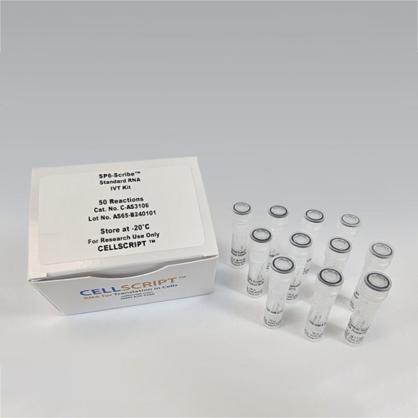Artikelbild 1 des Artikels SP6-Scribe Standard RNA IVT Kit