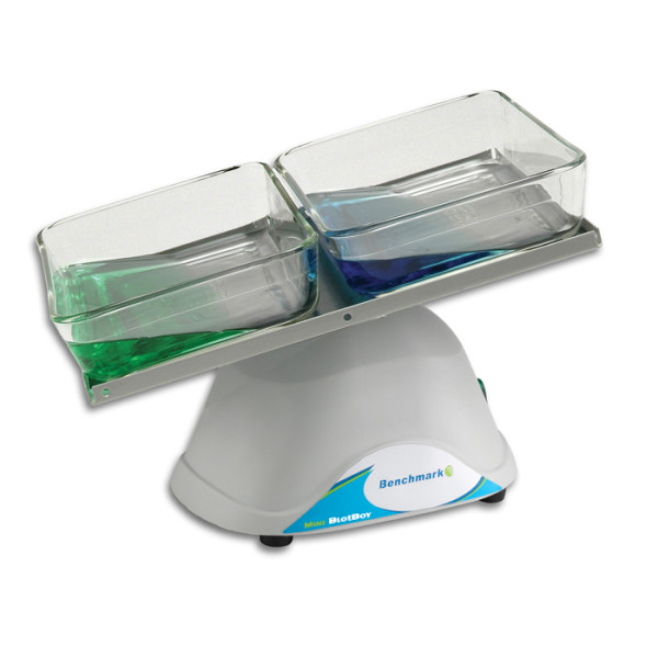 Artikelbild 1 des Artikels Mini BlotBoy 3D Rocker, fixed speed, small