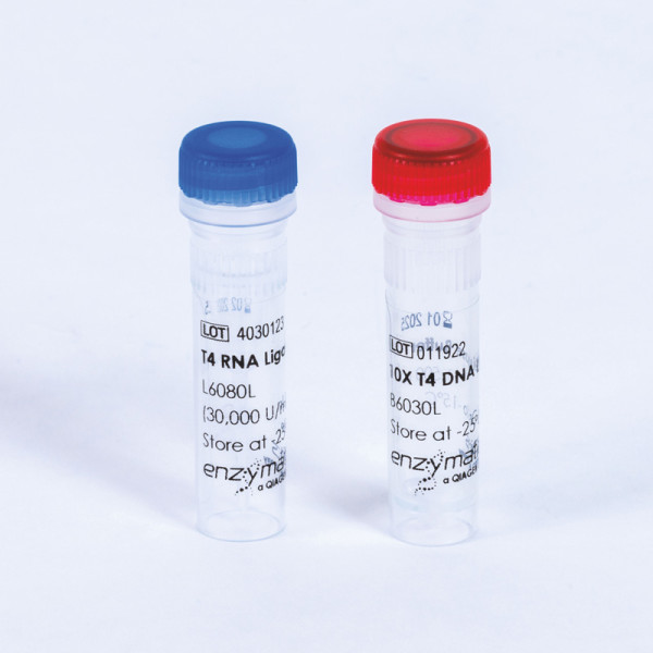 Artikelbild 1 des Artikels T4 RNA Ligase 2, 30000 U/ml