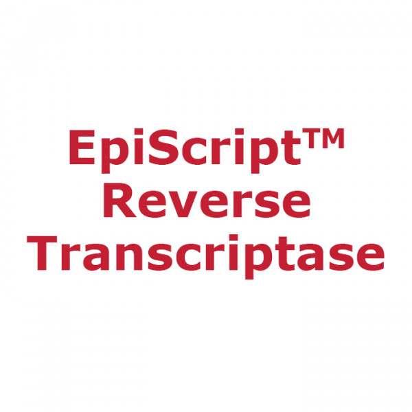Artikelbild 1 des Artikels EpiScript Reverse Transcriptase