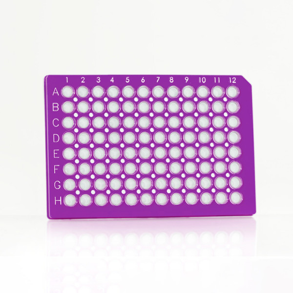 Artikelbild 1 des Artikels FrameStar 96 PCR Plate, clear Wells, purple Frame