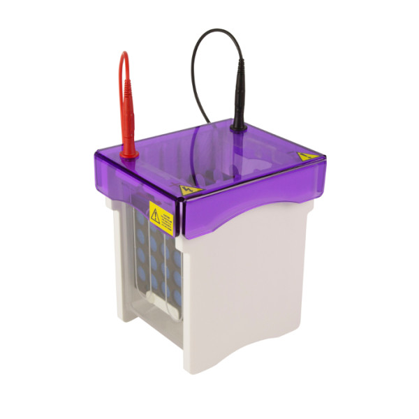 Artikelbild 1 des Artikels EasyPhor Elektro-Wet Blot Mini, 10x10