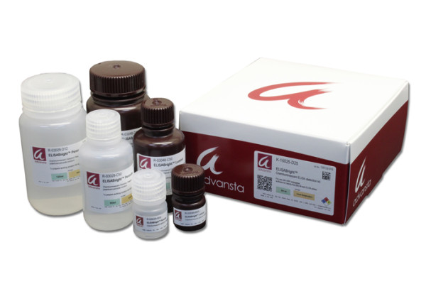 Artikelbild 1 des Artikels ElisaBright Chemilumineszenz Substrat