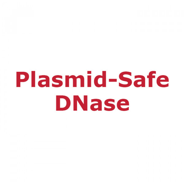 Artikelbild 1 des Artikels Plasmid-Safe DNase, 10 U/µl