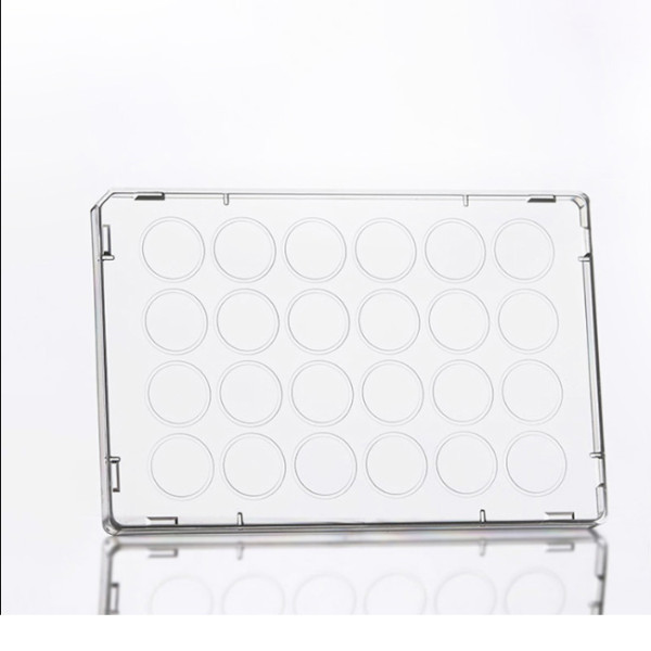 Artikelbild 1 des Artikels Microplate 24 Lid, clear
