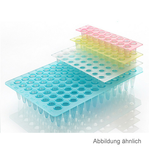 Artikelbild 1 des Artikels 24 Well PCR Plate Segment, green