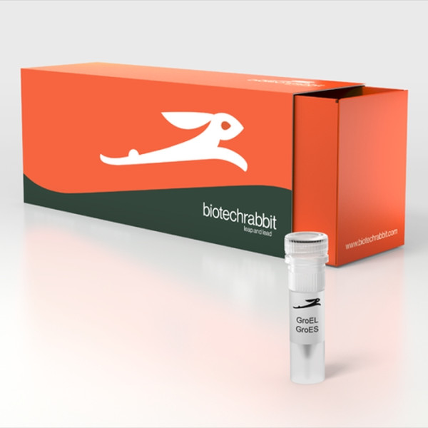 Artikelbild 1 des Artikels RTS GroE Supplement