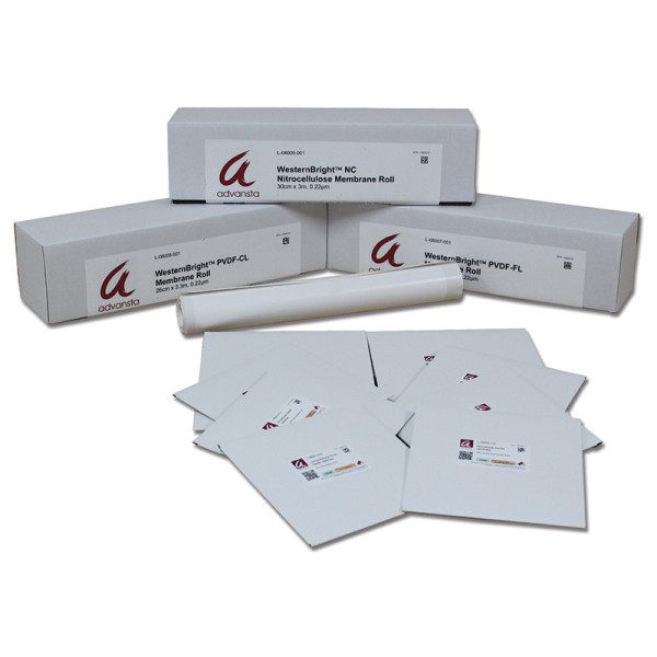 Artikelbild 1 des Artikels WesternBright PVDF-CL Membran, 0.22 µm