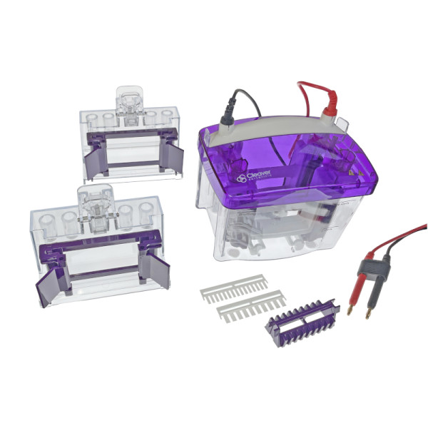 Artikelbild 1 des Artikels proPAGE 2 - Mini-PAGE-System für 2 Gele, 1.5 mm