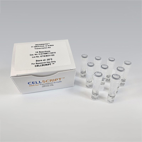 Artikelbild 1 des Artikels INCOGNITO™ T7 ARCA 5mC- & psi-RNA