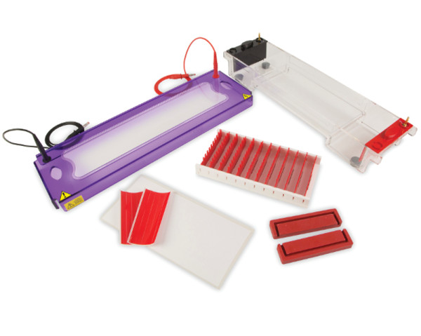 Artikelbild 1 des Artikels EasyPhor Midi96 STRETCH Gelelektrophorese Kammer