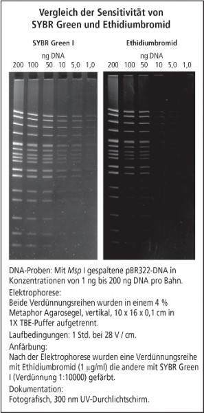 Artikelbild 1 des Artikels SYBR Green II RNA Farbstoff