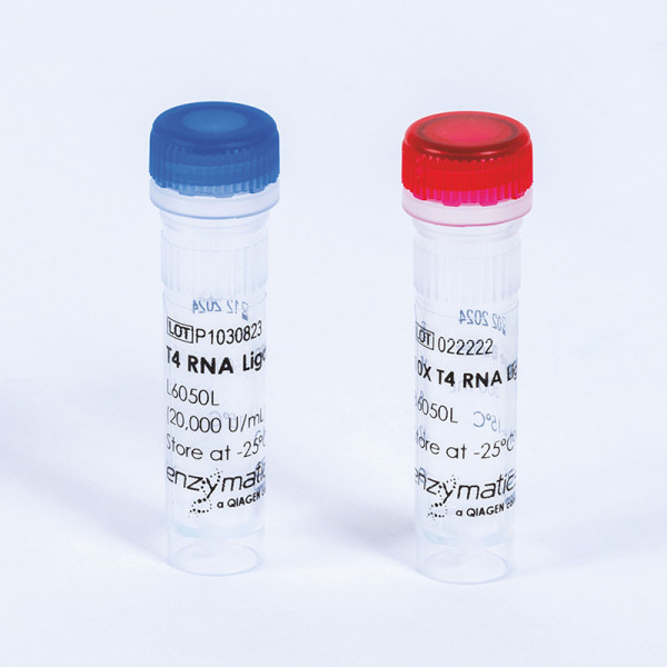 Artikelbild 1 des Artikels T4 RNA Ligase 1, 20000 U/ml