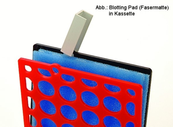 Artikelbild 1 des Artikels EasyPhor PAGE WetBlotter Maxi Pads