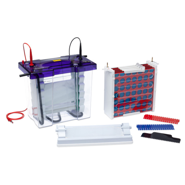 Artikelbild 1 des Artikels EasyPhor PAGE Maxi WAVE Elektrophorese & Blotting